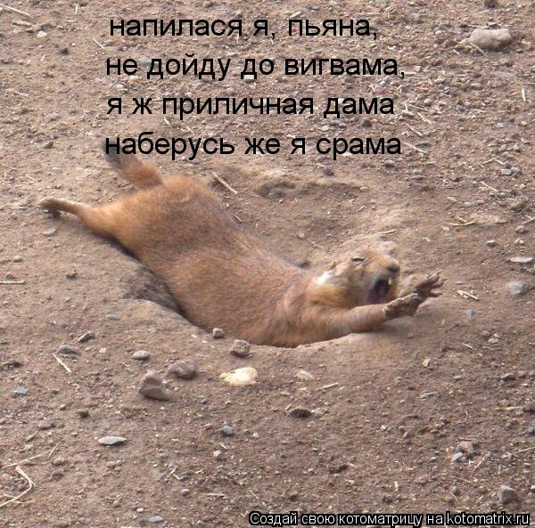 напилася я, пьяна, не дойду до вигвама, я ж приличная дама наберусь же я срама... Котоматрица: напилася я, пьяна, не дойду до вигвама, я ж приличная дама наберусь же я срама