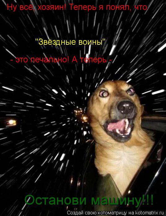 Котоматрица: Ну всё, хозяин! Теперь я понял, что  "Звёздные воины"  - это печально! А теперь - Останови машину!!!