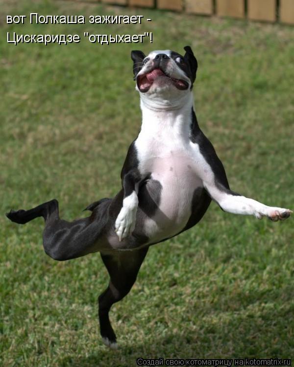Котоматрица: Цискаридзе "отдыхает"! вот Полкаша зажигает -