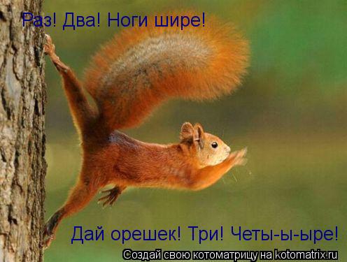 Котоматрица: Раз! Два! Ноги шире! Дай орешек! Три! Четы-ы-ыре!