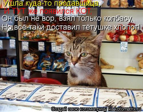 Котоматрица: Ушла куда-то продавщица, И ТУТ же появился КОТ, Он был не вор, взял только колбасу,  Но всё-таки доставил тётушке хлопот!