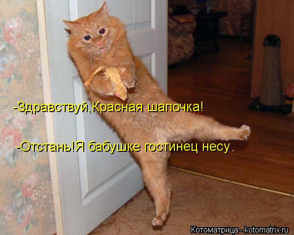 -Здравствуй,Красная шапочка! -Отстань!Я бабушке гостинец несу .... Котоматрица: -Здравствуй,Красная шапочка! -Отстань!Я бабушке гостинец несу .
