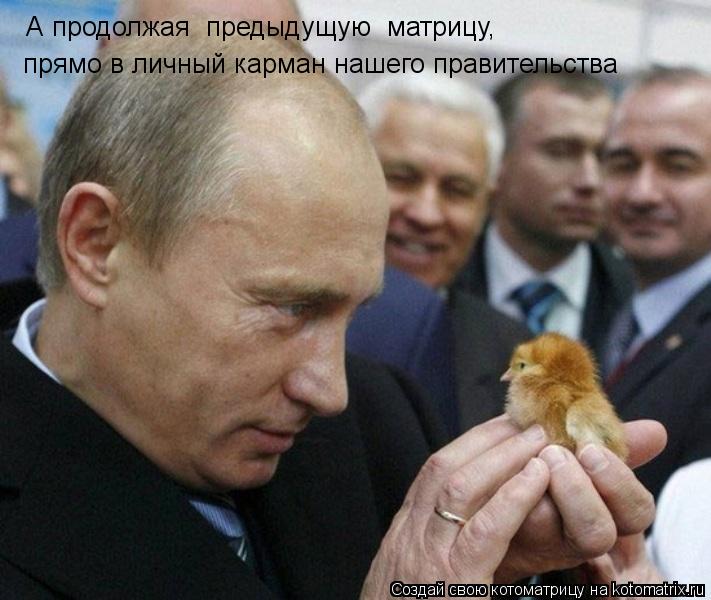 Котоматрица: прямо в личный карман нашего правительства А продолжая  предыдущую  матрицу,