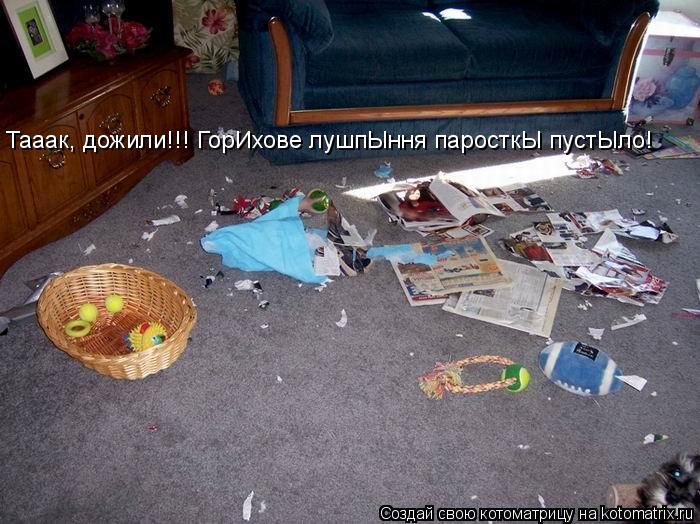 Котоматрица: Тааак, дожили!!! ГорИхове лушпЫння паросткЫ пустЫло!