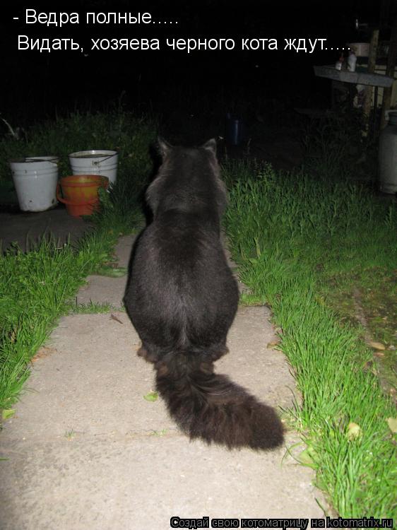 - Ведра полные..... Видать, хозяева черного кота ждут........ Котоматрица: - Ведра полные..... Видать, хозяева черного кота ждут.....