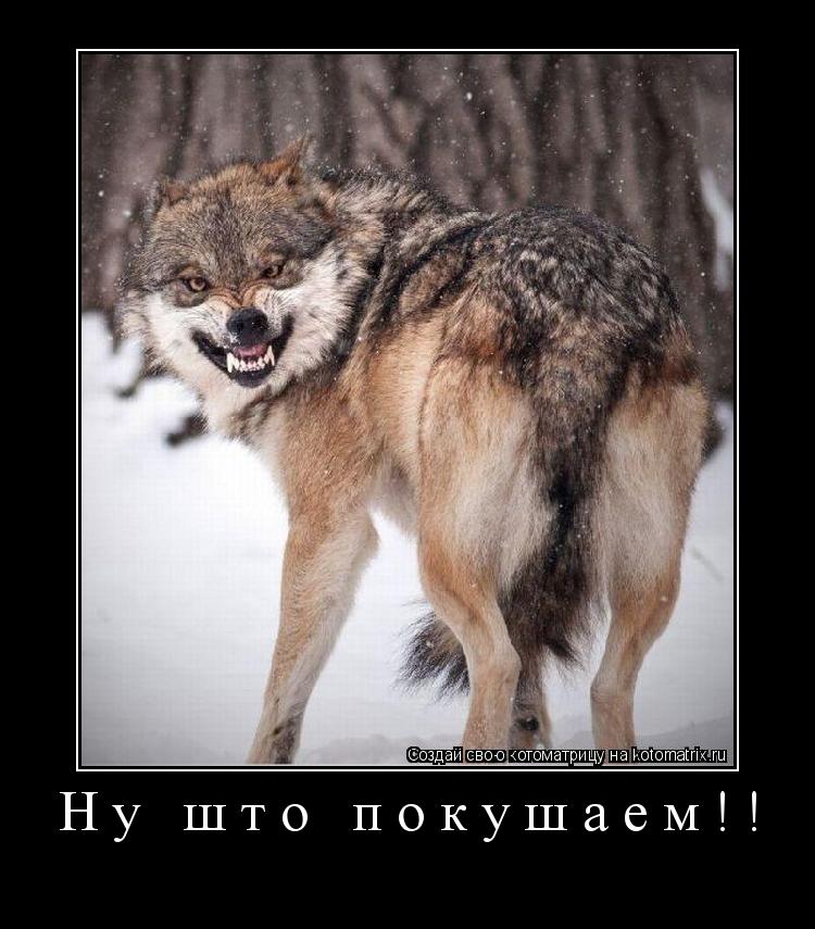 Котоматрица: Ну што покушаем!! 