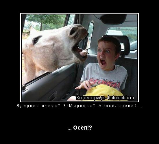 Ядерная атака? 3 Мировая? Апокалипсис?... ... Осёл!?... Котоматрица: Ядерная атака? 3 Мировая? Апокалипсис?... ... Осёл!?