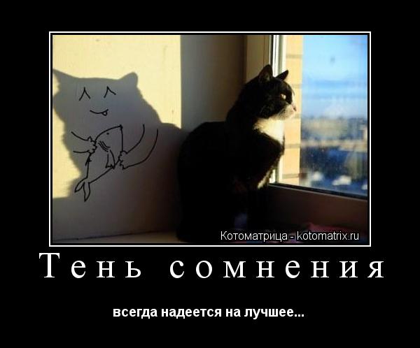 Котоматрица: Тень сомнения  всегда надеется на лучшее... 