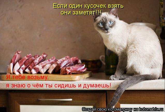 Котоматрица: Если один кусочек взять они заметят!!! Я тебе возьму, я знаю о чём ты сидишь и думаешь!