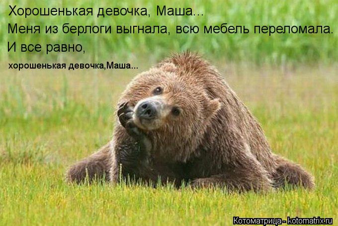 Хорошенькая девочка, Маша... Меня из берлоги выгнала, всю мебель переломала. И все равно, хорошенькая... Котоматрица: Хорошенькая девочка, Маша... Меня из берлоги выгнала, всю мебель переломала. И все равно, хорошенькая девочка,Маша...