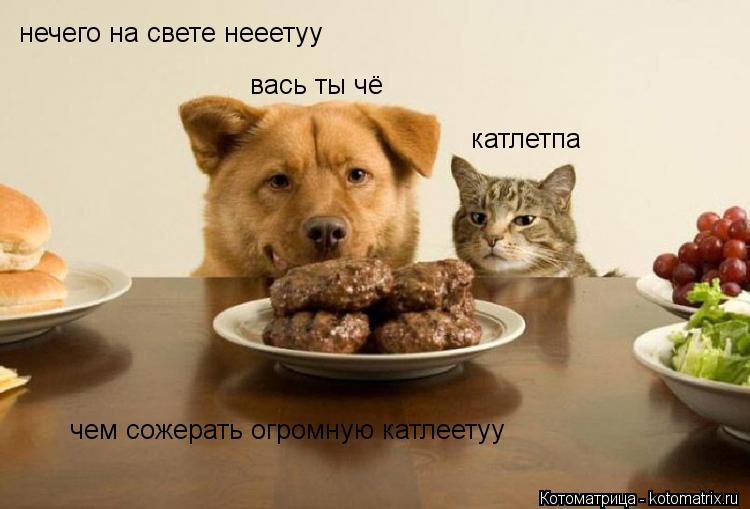 Котоматрица: нечего на свете нееетуу  чем сожерать огромную катлеетуу вась ты чё  катлетпа