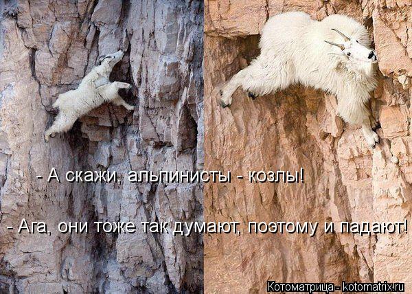 Котоматрица: - А скажи, альпинисты - козлы! - Ага, они тоже так думают, поэтому и падают!