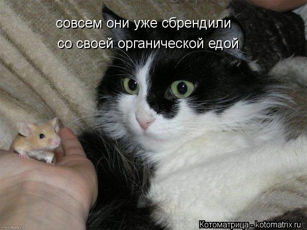 Котоматрица: совсем они уже сбрендили со своей органической едой