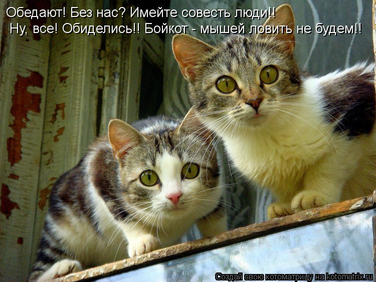 Котоматрица: Обедают! Без нас? Имейте совесть люди!! Ну, все! Обиделись!! Бойкот - мышей ловить не будем!!
