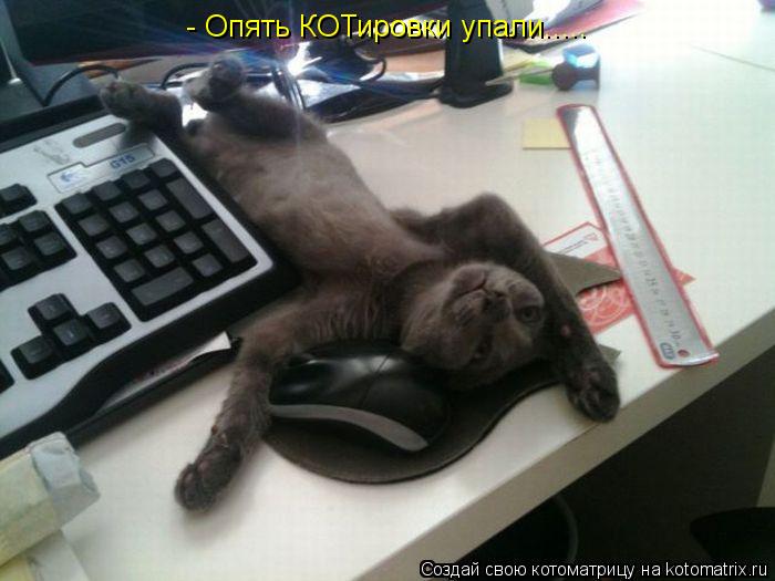 - Опять КОТировки упали........ Котоматрица: - Опять КОТировки упали.....