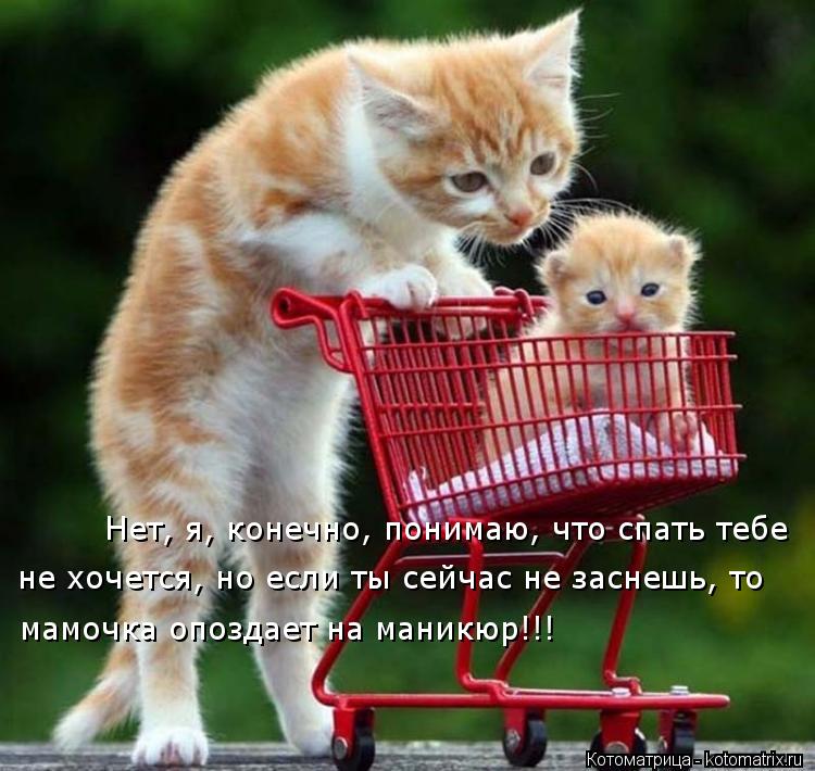 Нет, я, конечно, понимаю, что спать тебе не хочется, но если ты сейчас не заснешь, то мамочка опозда... Котоматрица: Нет, я, конечно, понимаю, что спать тебе не хочется, но если ты сейчас не заснешь, то мамочка опоздает на маникюр!!!
