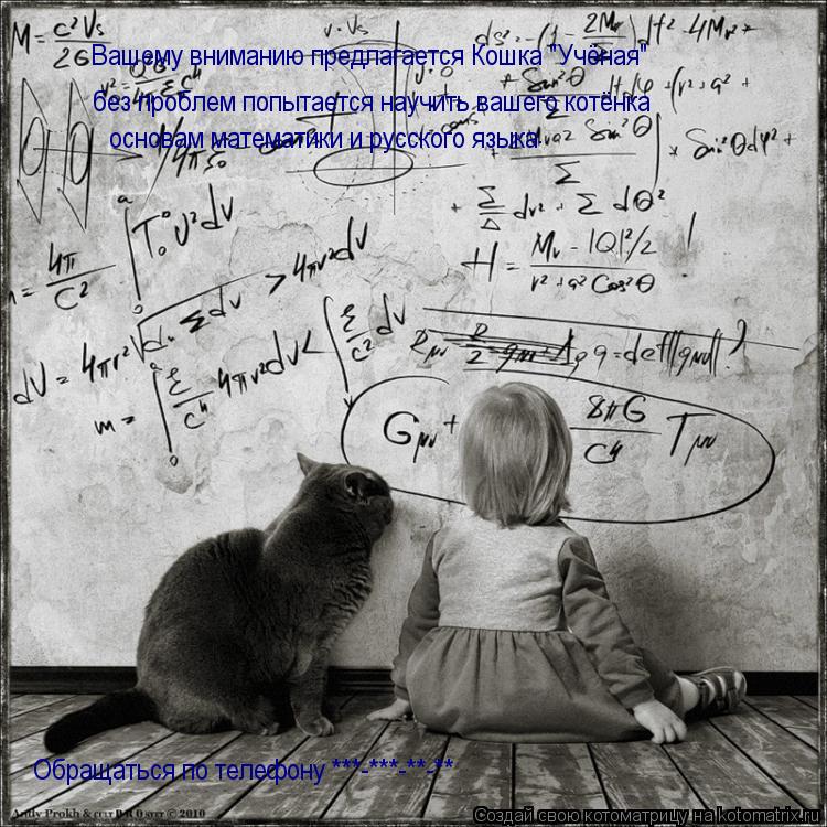 Вашему вниманию предлагается Кошка "Учёная" без проблем попытается научить вашего котёнка основам мат... Котоматрица: Вашему вниманию предлагается Кошка "Учёная" без проблем попытается научить вашего котёнка основам математики и русского языка . Обращатьс