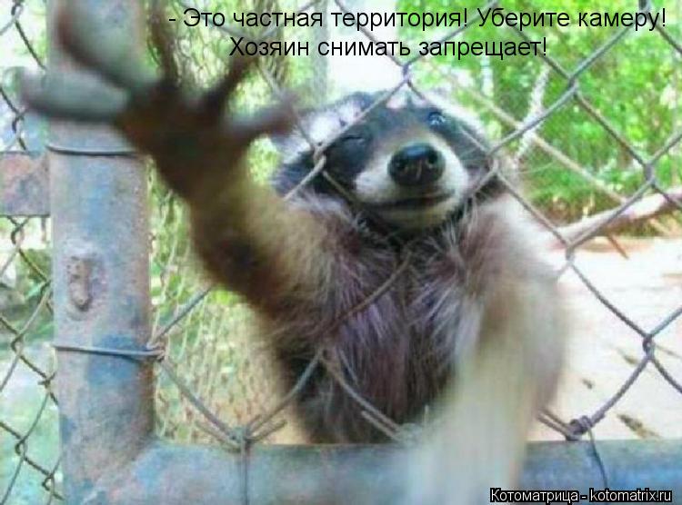 - Это частная территория! Уберите камеру! Хозяин снимать запрещает!... Котоматрица: - Это частная территория! Уберите камеру! Хозяин снимать запрещает!