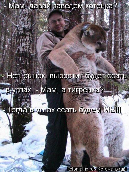 - Мам, давай заведем котенка? - Нет, сынок, выростит будет ссать в углах. - Мам, а тигренка? - Тогд... Котоматрица: - Мам, давай заведем котенка? - Нет, сынок, выростит будет ссать в углах. - Мам, а тигренка? - Тогда в углах ссать будем МЫ!!!
