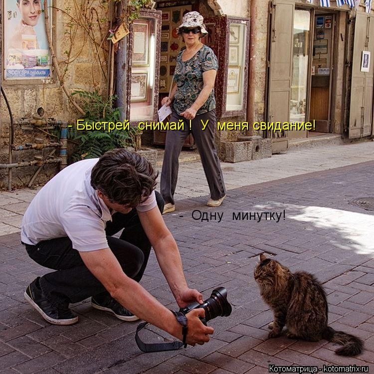 - Быстрей снимай ! У меня свидание! - Одну минутку!... Котоматрица: - Быстрей снимай ! У меня свидание! - Одну минутку!