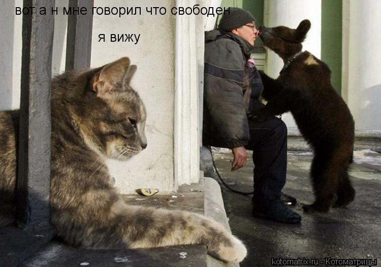 Котоматрица: я вижу вот а н мне говорил что свободен