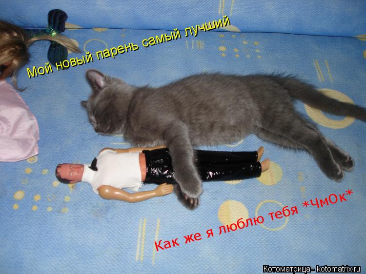 Мой новый парень самый лучший Как же я люблю тебя *ЧмОк*... Котоматрица: Мой новый парень самый лучший Как же я люблю тебя *ЧмОк*
