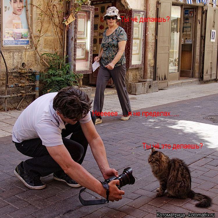Котоматрица: Ты чё делаешь? Ты чё это делаешь? Нееееее......я не пределах.....