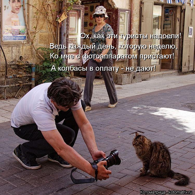 Ох, как эти туристы надоели! Ведь каждый день, которую неделю, Ко мне с фотоаппаратом пристают! А кол... Котоматрица: Ох, как эти туристы надоели! Ведь каждый день, которую неделю, Ко мне с фотоаппаратом пристают! А колбасы в оплату - не дают!