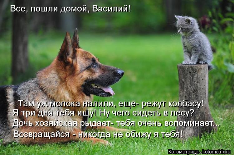 Все, пошли домой, Василий! Там уж молока налили, еще- режут колбасу! Я три дня тебя ищу! Ну чего сиде... Котоматрица: Все, пошли домой, Василий! Там уж молока налили, еще- режут колбасу! Я три дня тебя ищу! Ну чего сидеть в лесу? Дочь хозяйская рыдает- тебя очен