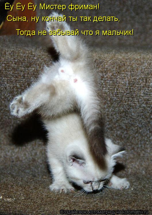 Ёу Ёу Ёу Мистер фриман! Сына, ну кончай ты так делать, Сына, ну кончай ты так делать, Тогда не забыва... Котоматрица: Ёу Ёу Ёу Мистер фриман! Сына, ну кончай ты так делать, Сына, ну кончай ты так делать, Тогда не забывай что я мальчик!