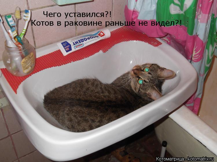 Котоматрица: Чего уставился?!  Котов в раковине раньше не видел?!