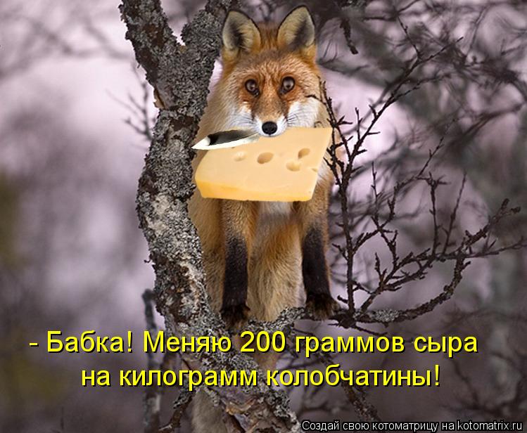 Котоматрица: - Бабка! Меняю 200 граммов сыра на килограмм колобчатины!