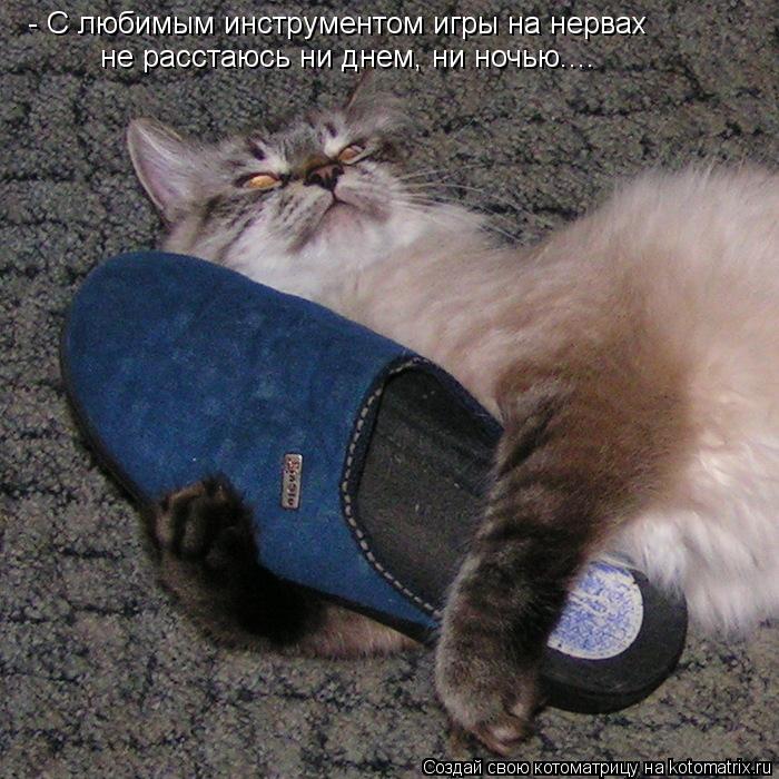 Котоматрица: - С любимым инструментом игры на нервах не расстаюсь ни днем, ни ночью....