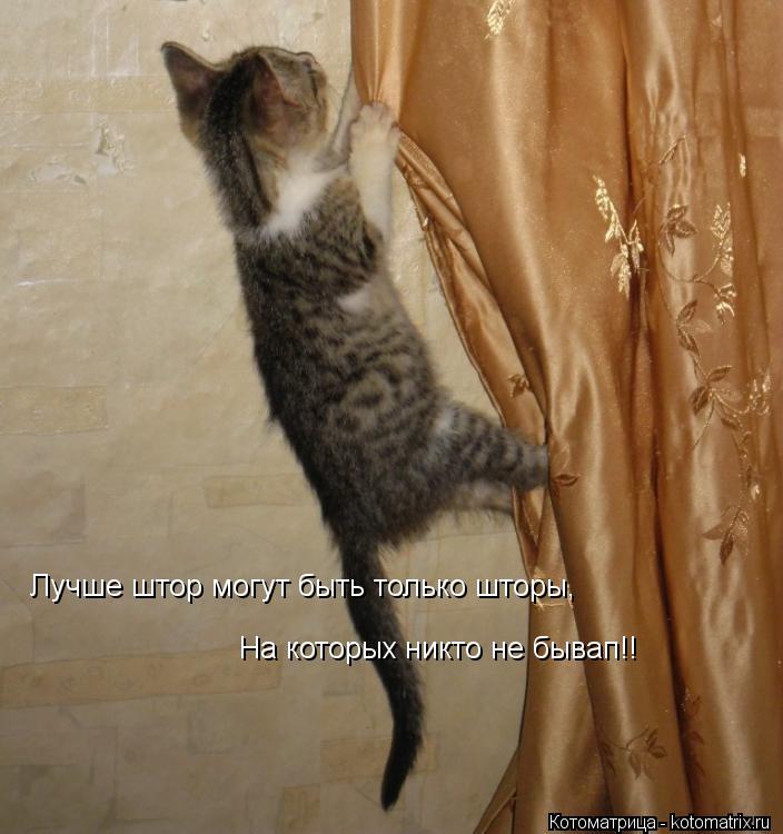 Котоматрица: Лучше штор могут быть только шторы, На которых никто не бывап!!