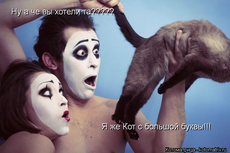 Котоматрица: Ну а че вы хотели та?????  Я же Кот с большой буквы!!!