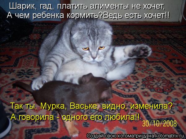Котоматрица: Шарик, гад, платить алименты не хочет, А чем ребенка кормить?Ведь есть хочет!! Так ты, Мурка, Ваське, видно, изменила? А говорила - одного его лю