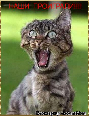 Котоматрица: НАШИ  ПРОИГРАЛИ!!!! НАШИ  ПРОИГРАЛИ!!!!