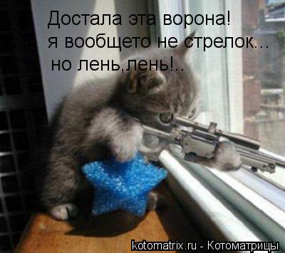 Достала эта ворона! я вообщето не стрелок... но лень,лень!..... Котоматрица: Достала эта ворона! я вообщето не стрелок... но лень,лень!..