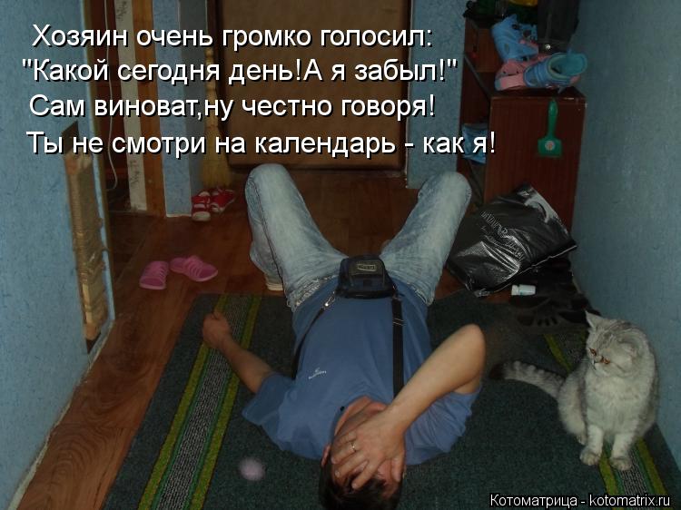 Хозяин очень громко голосил: "Какой сегодня день!А я забыл!" Ты не смотри на календарь - как я! Сам в... Котоматрица: Хозяин очень громко голосил: "Какой сегодня день!А я забыл!" Ты не смотри на календарь - как я! Сам виноват,ну честно говоря!
