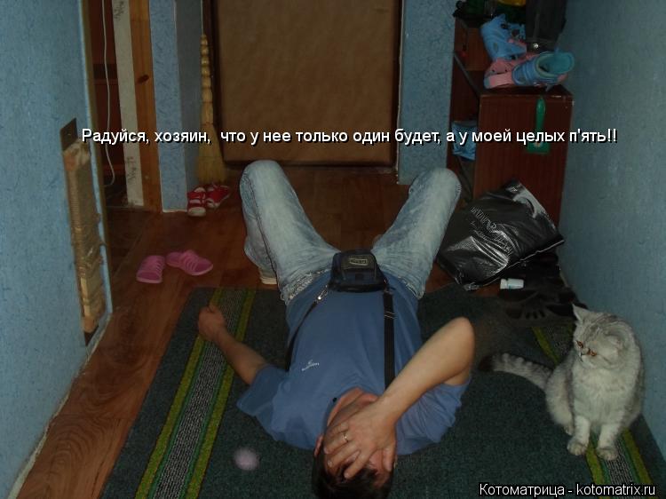 Радуйся, хозяин, что у нее только один будет, а у моей целых п'ять!!... Котоматрица: Радуйся, хозяин, что у нее только один будет, а у моей целых п'ять!!