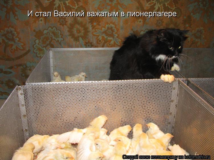 И стал Василий важатым в пионерлагере... Котоматрица: И стал Василий важатым в пионерлагере