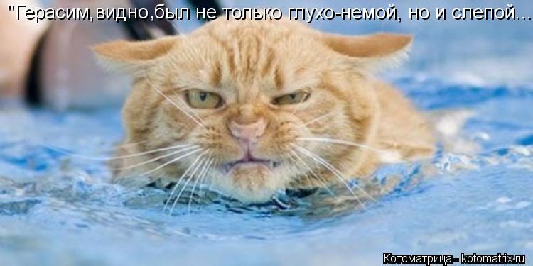 Котоматрица: "Герасим видно был не только глухо-немой, но и слепой...   ,   ,