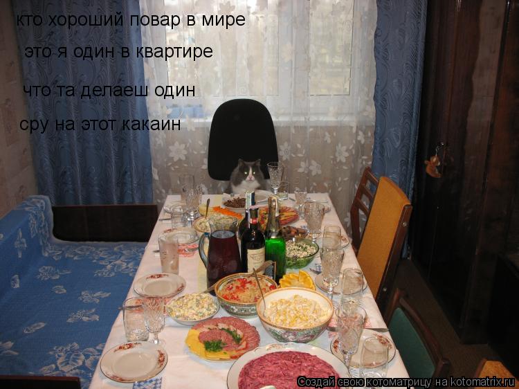 Котоматрица: кто хороший повар в мире это я один в квартире что та делаеш один  сру на этот какаин