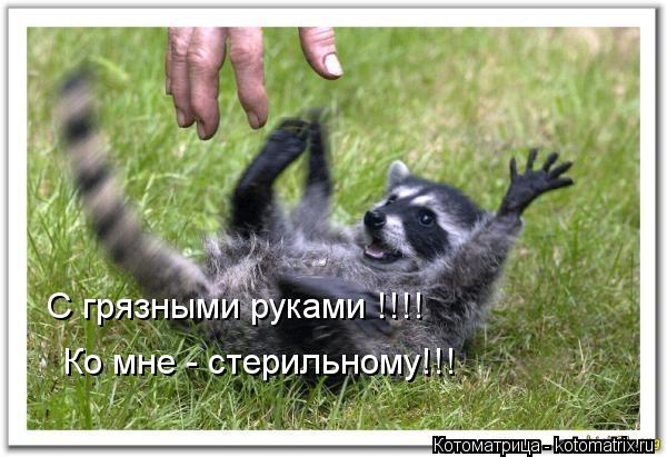 Котоматрица: С грязными руками !!!!  Ко мне - стерильному!!!