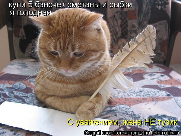 Котоматрица: наш бежный голоднвц купи 5 баночек сметаны и рыбки я голодная С уважением, жена НЕ тузик