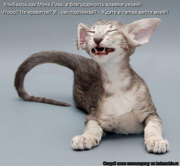 Котоматрица: Улыбаюсь,как Мона Лиза, в благодарность хозяйке своей!!  Чтооо? Не нравится? Я , как подлиииза? - Ждите в тапках мести моей!!