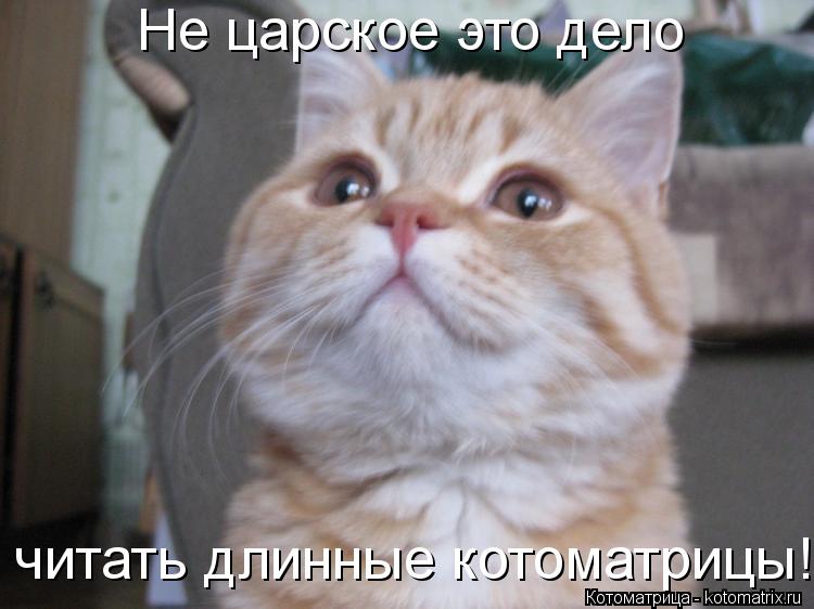 Не царское это дело читать длинные котоматрицы!... Котоматрица: Не царское это дело читать длинные котоматрицы!