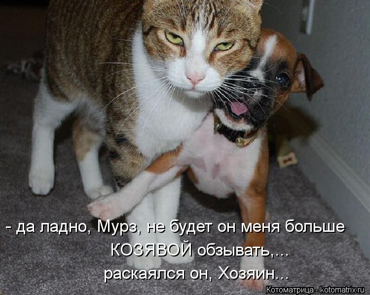 - да ладно, Мурз, не будет он меня больше КОЗЯВОЙ обзывать,... раскаялся он, Xозяин...... Котоматрица: - да ладно, Мурз, не будет он меня больше КОЗЯВОЙ обзывать,... раскаялся он, Xозяин...