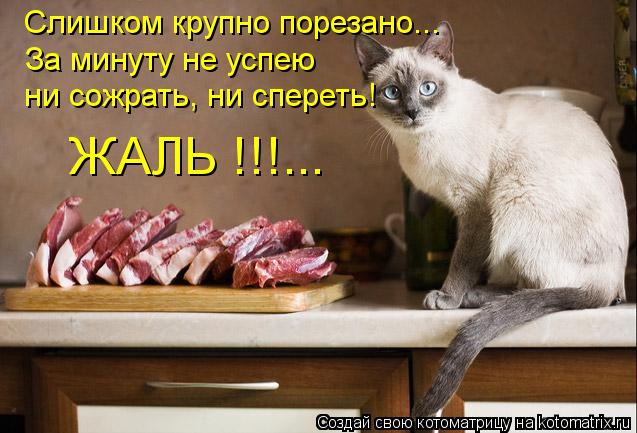 Слишком крупно порезано... За минуту не успею ни сожрать, ни спереть! ЖАЛЬ !!!...... Котоматрица: Слишком крупно порезано... За минуту не успею ни сожрать, ни спереть! ЖАЛЬ !!!...
