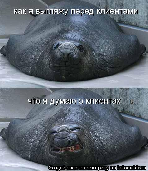 как я выгляжу перед клиентами что я думаю о клиентах... Котоматрица: как я выгляжу перед клиентами что я думаю о клиентах